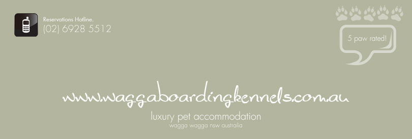 Luxury Pet Accommodation. Wagga Boarding Kennels NSW Australia.